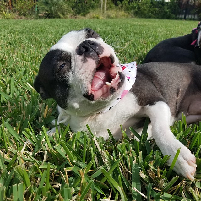 180214_Wordless Wednesday